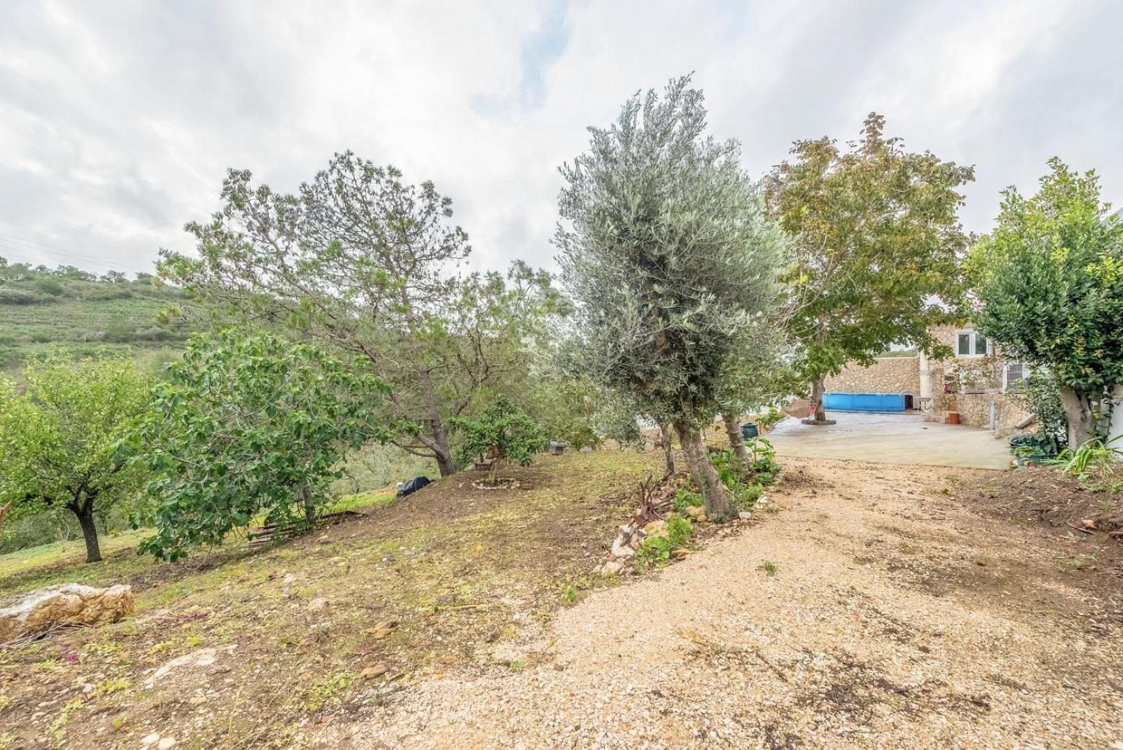 Countryside Paradise In Bucelas Экстерьер фото